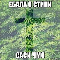 ебала 0 стини саси чмо