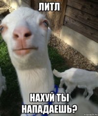 литл нахуй ты нападаешь?