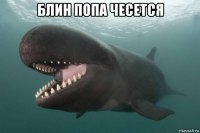 блин попа чесется 