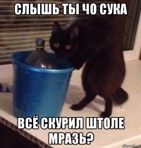 слышь ты чо сука всё скурил штоле мразь?