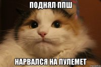 поднял ппш нарвался на пулемет
