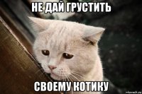 не дай грустить своему котику