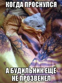 когда проснулся а будильник ещё не прозвенел