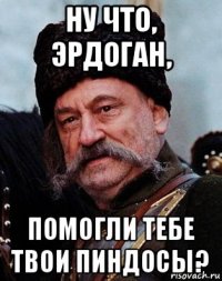 ну что, эрдоган, помогли тебе твои пиндосы?