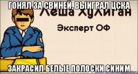 гонял за свиней, выиграл цска закрасил белые полоски синим