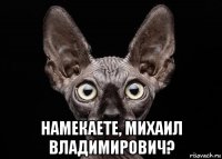  намекаете, михаил владимирович?