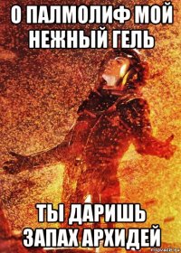 о палмолиф мой нежный гель ты даришь запах архидей