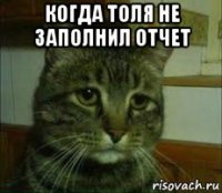 когда толя не заполнил отчет 