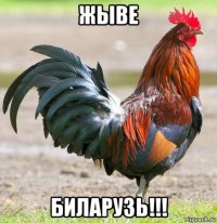 жыве биларузь!!!