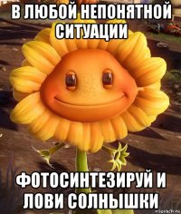 в любой непонятной ситуации фотосинтезируй и лови солнышки
