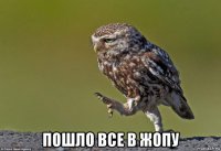  пошло все в жопу
