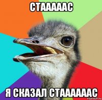 стааааас я сказал стаааааас