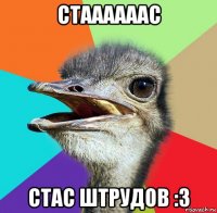 стаааааас стас штрудов :3