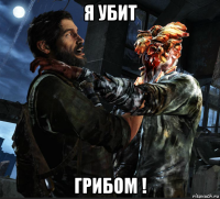 я убит грибом !