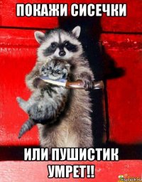покажи сисечки или пушистик умрет!!