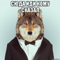 сюда иди кому сказал 