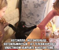  котзилля... котзиленыш... котзильмяутый... (от телевизоров с ужастиком убирайте и котов тоже)