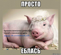просто еблась