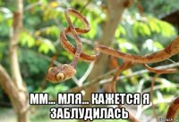  мм... мля... кажется я заблудилась