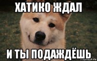 хатико ждал и ты подаждёшь