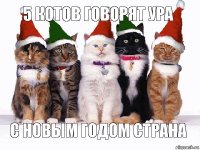 5 Котов Говорят ура с новым годом страна