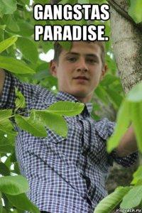 gangstas paradise. 