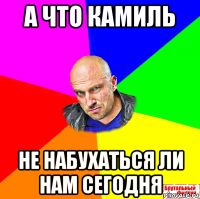 а что камиль не набухаться ли нам сегодня