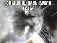 слышыш вась, бухло есть? 
