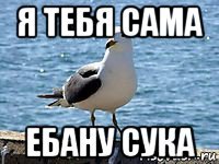 я тебя сама ебану сука