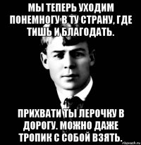 мы теперь уходим понемногу в ту страну, где тишь и благодать. прихвати ты лерочку в дорогу. можно даже тропик с собой взять.