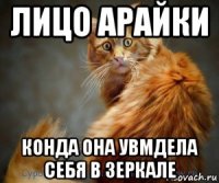 лицо арайки конда она увмдела себя в зеркале