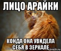лицо арайки конда она увидела себя в зеркале