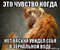 это чувство когда кот васька увидел себя в зеркальной воде