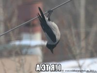  а эт я! )