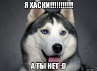 я хаски!!!!!!!!!!! а ты нет :d