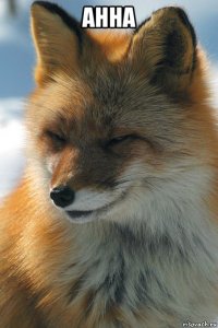 анна 
