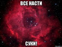 все насти суки!