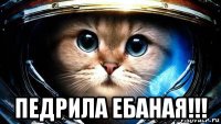  педрила ебаная!!!