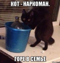 кот - наркоман. горе в семье