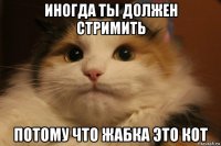иногда ты должен стримить потому что жабка это кот