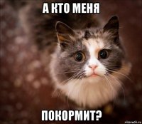 а кто меня покормит?
