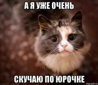 а я уже очень скучаю по юрочке