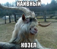 наивный козел