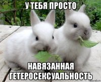 у тебя просто навязанная гетеросексуальность