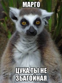 марго цука,ты не збагойная