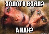 золото взял? а как?