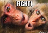 fight! 