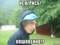 не агрись! кошовенко!?