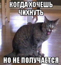 когда хочешь чихнуть но не получается