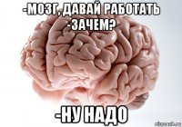 -мозг, давай работать -зачем? -ну надо